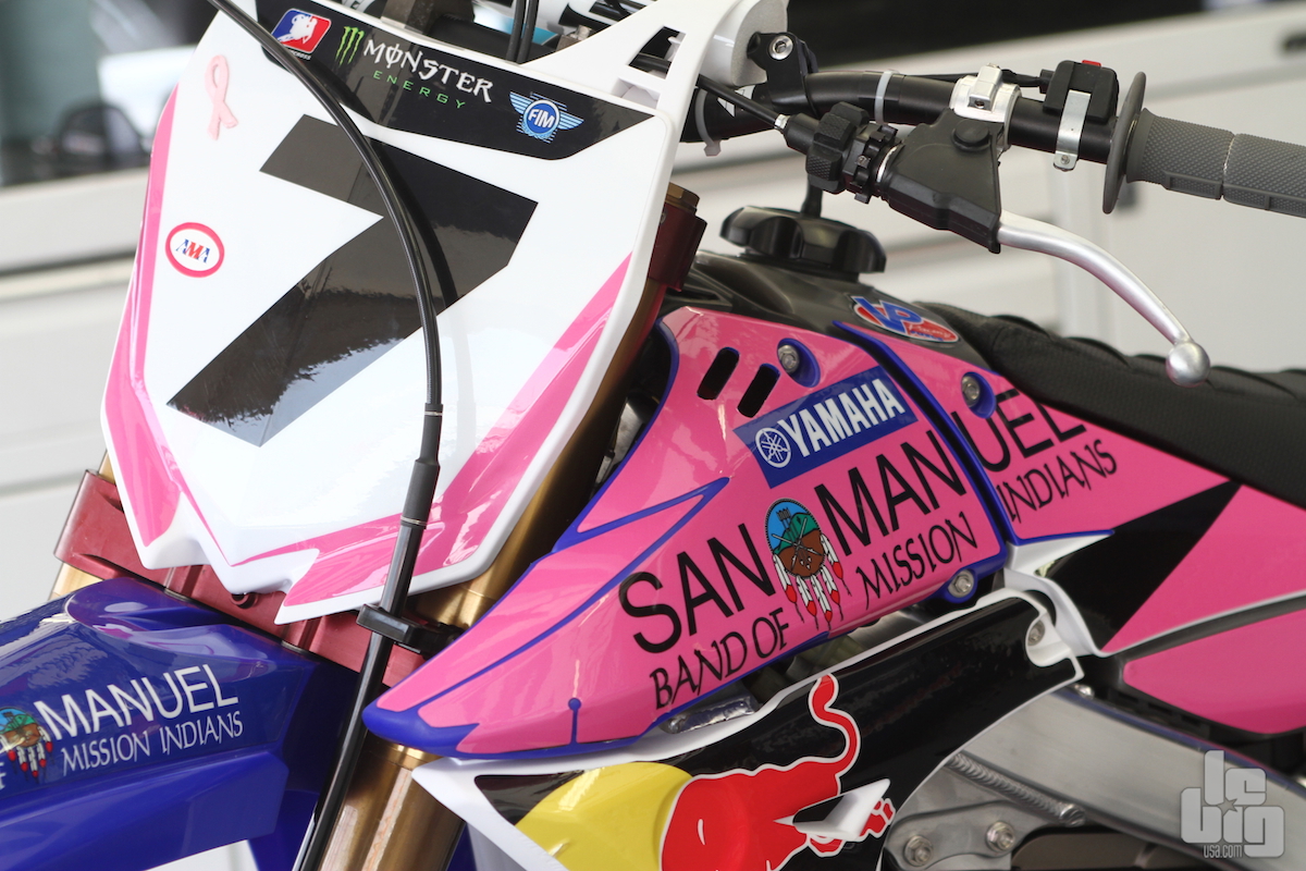 Anaheim 2 en rose