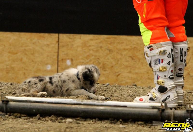 Livia Lancelot au SX de Genève