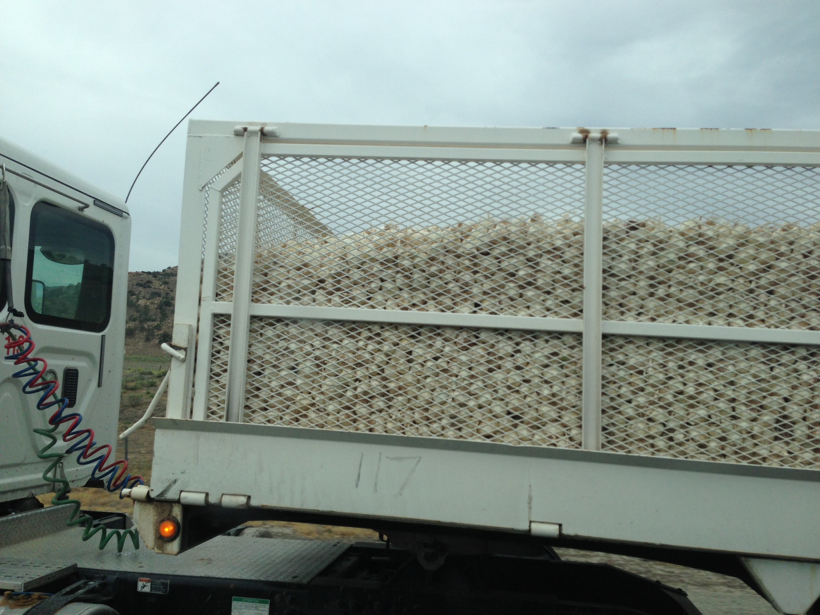 Des photos sur la route