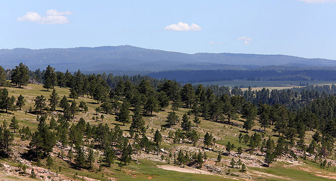Sur la route du Wyoming