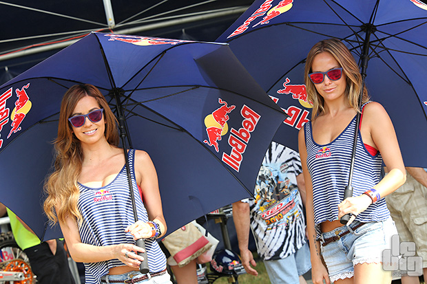 Les filles de RedBull