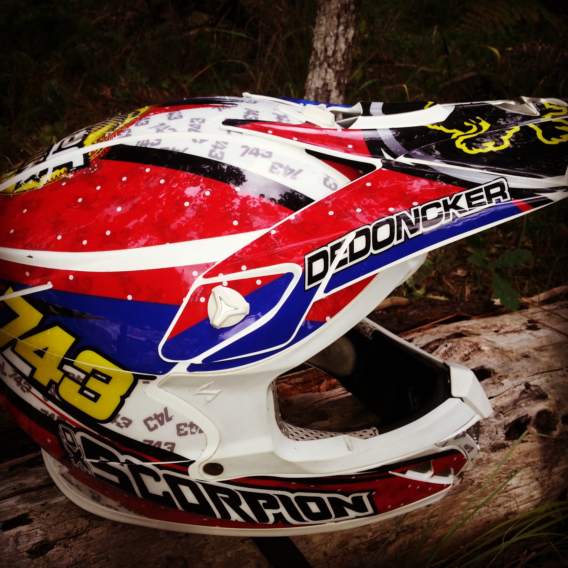 Alex Morel