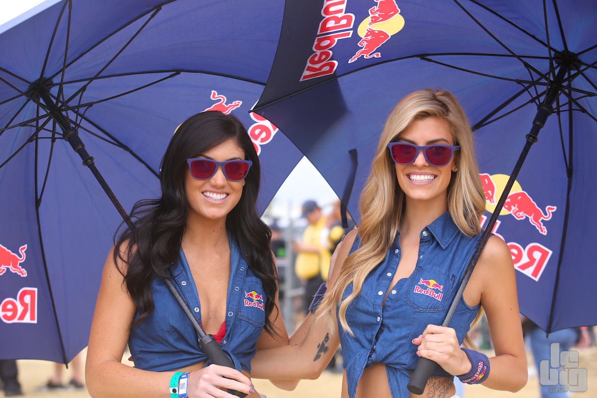 Les Red Bull girls débarquent...
