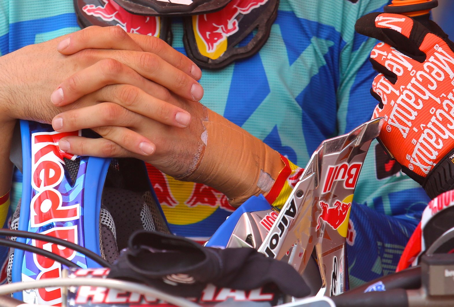 « Zoom » sur RedBud