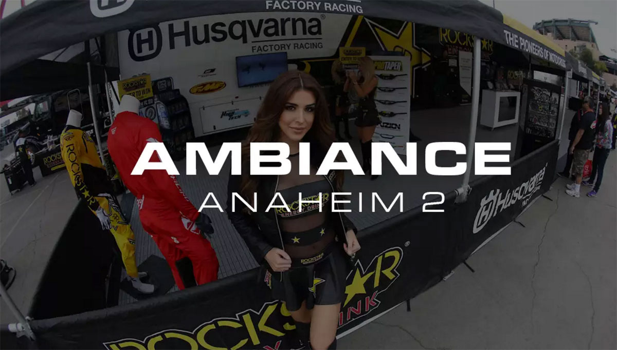 Dans l'ambiance d'Anaheim 2
