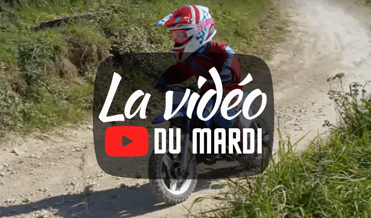« La vidéo du mardi » n°2