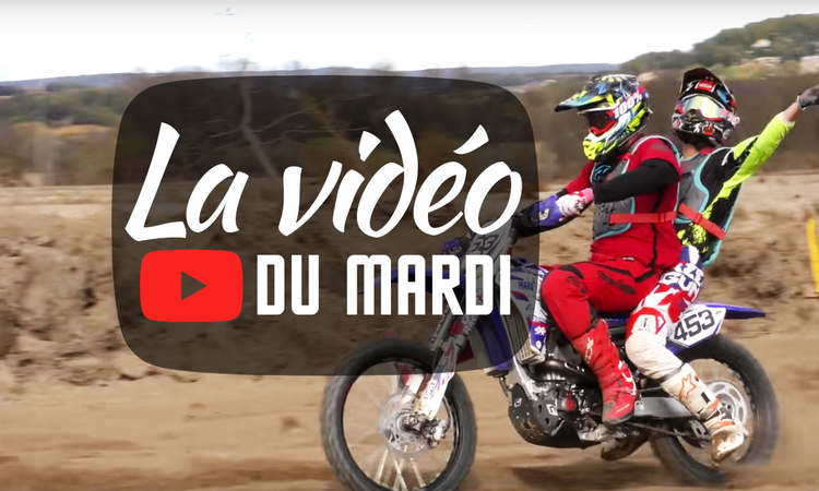 « La vidéo du mardi » n°12