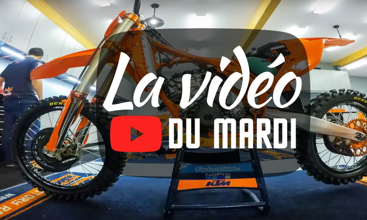 « La vidéo du mardi » n°17