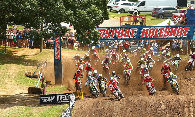 Muddy Creek : le résumé vidéo