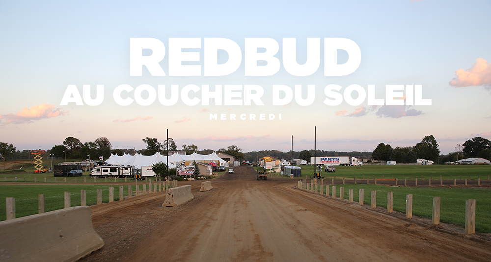 RedBud au coucher du soleil
