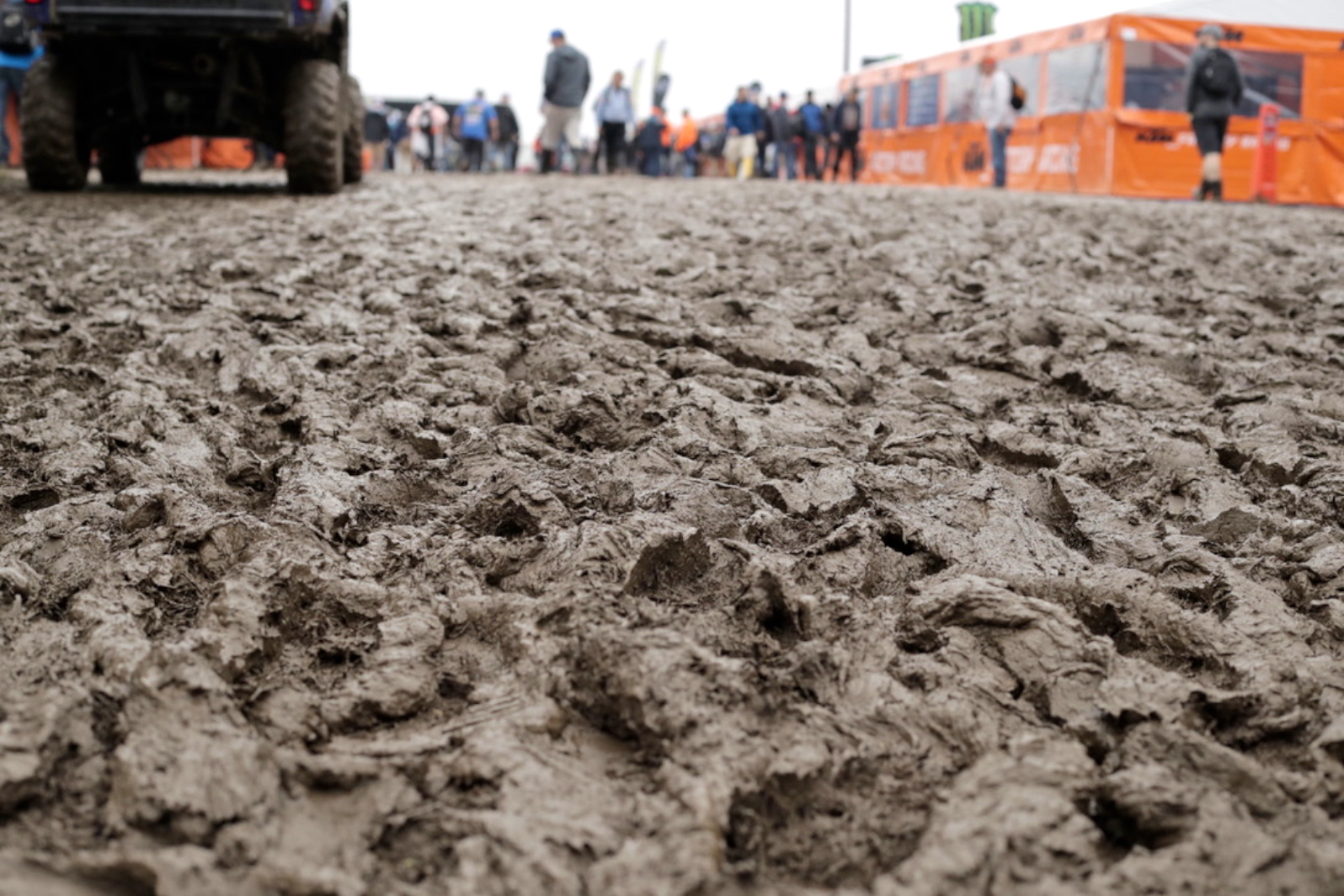 RedBud Nations : « sans paroles »