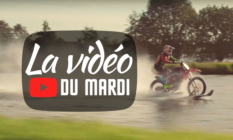 « La vidéo du mardi » n°37