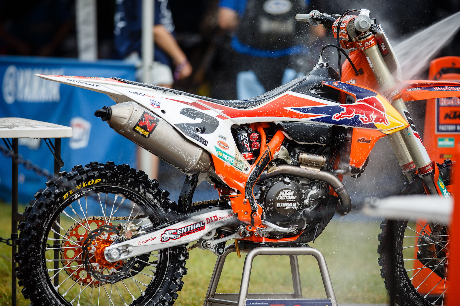 RedBud : « sans paroles » (version USA)