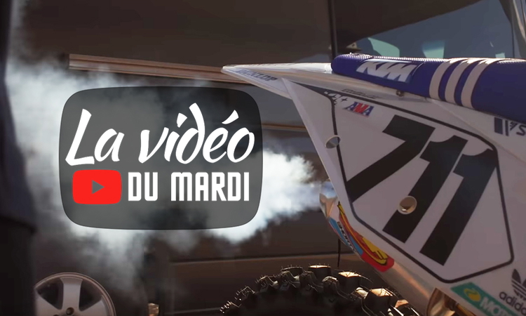 « La vidéo du mardi » n°51