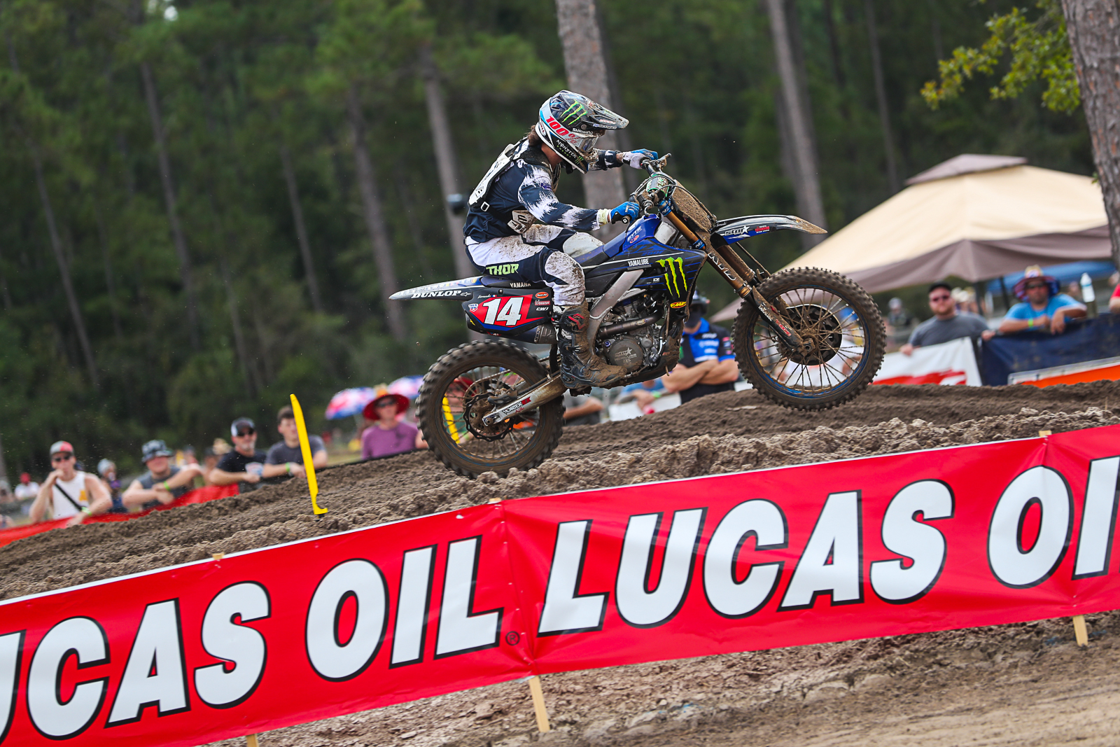 WW Ranch : les photos 250