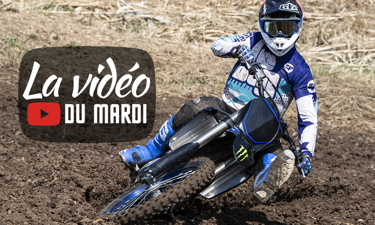 « La vidéo du mardi » n°78