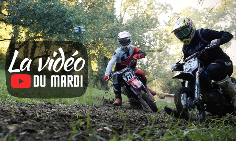 « La vidéo du mardi » n°81