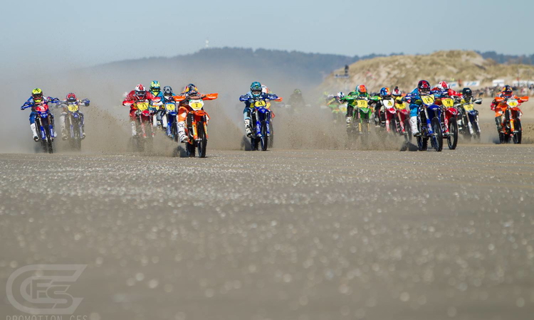 Inscriptions au CFS 2021-2022