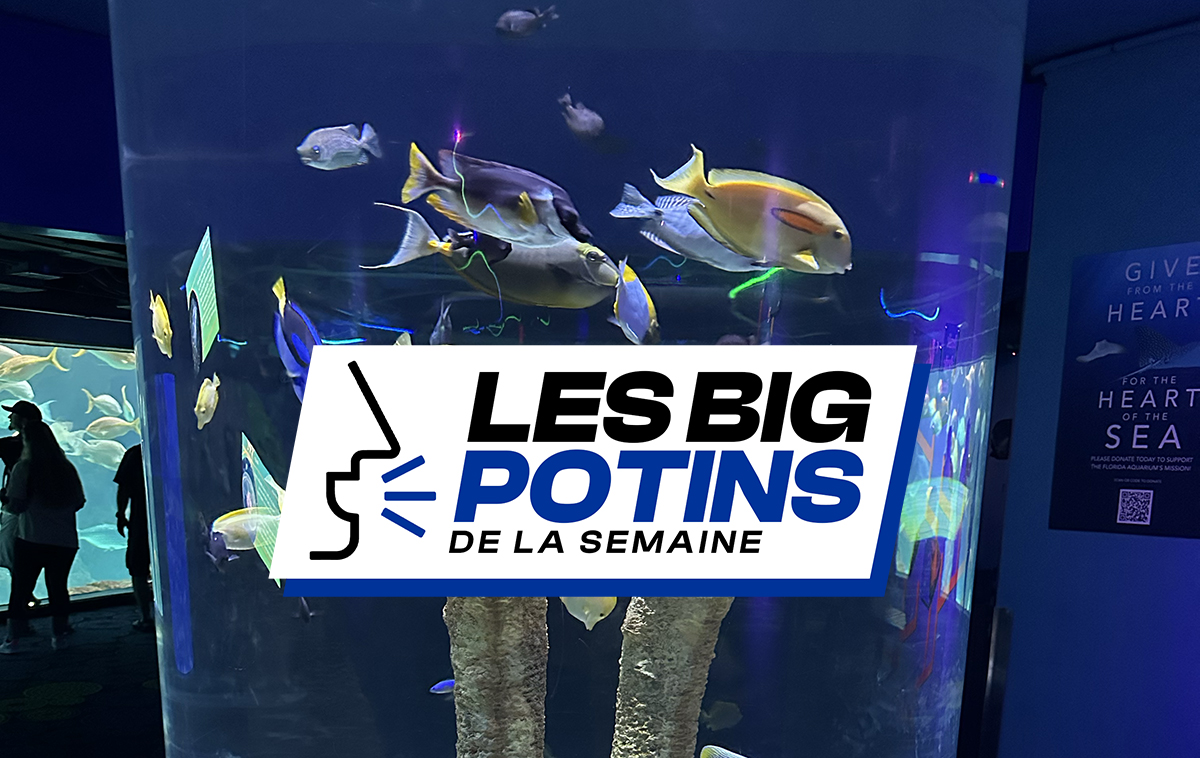 Les « Big Potins » de la semaine (14)