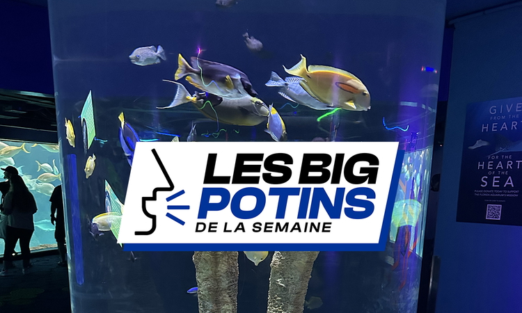 Les « Big Potins » de la semaine (14)