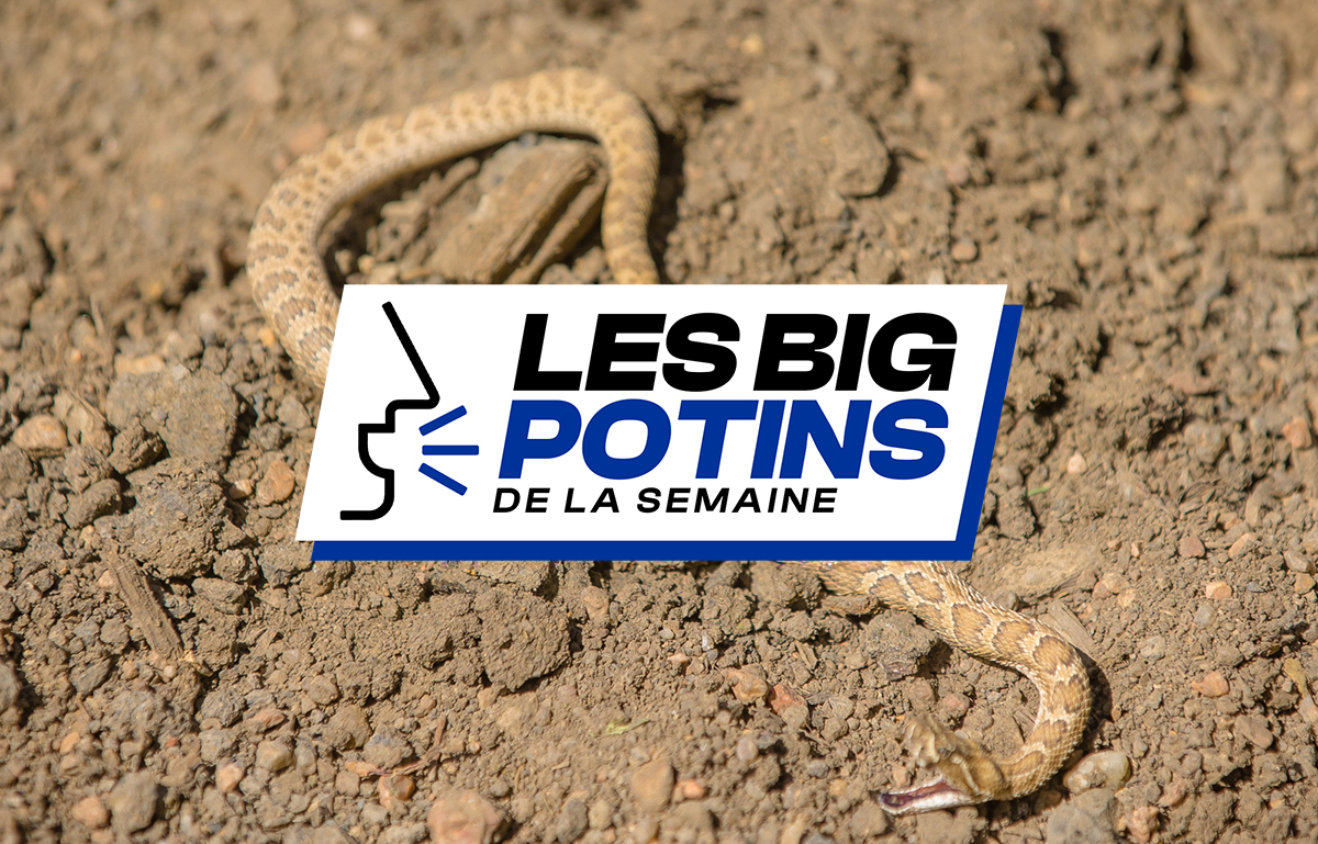 Les « Big Potins » de la semaine (18)