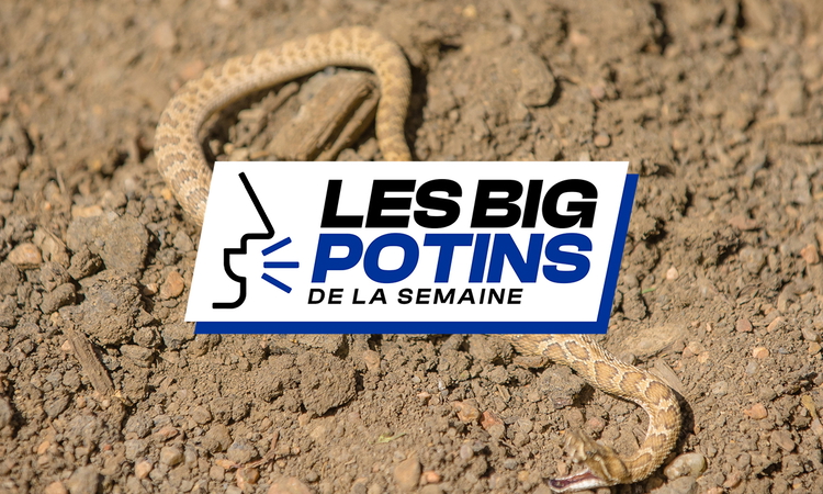 Les « Big Potins » de la semaine (18)