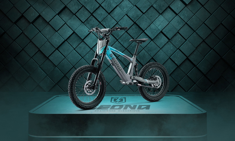 La draisienne électrique Sedna SX 18