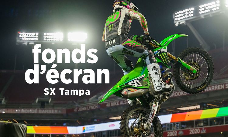 SX Tampa : les fonds d’écran