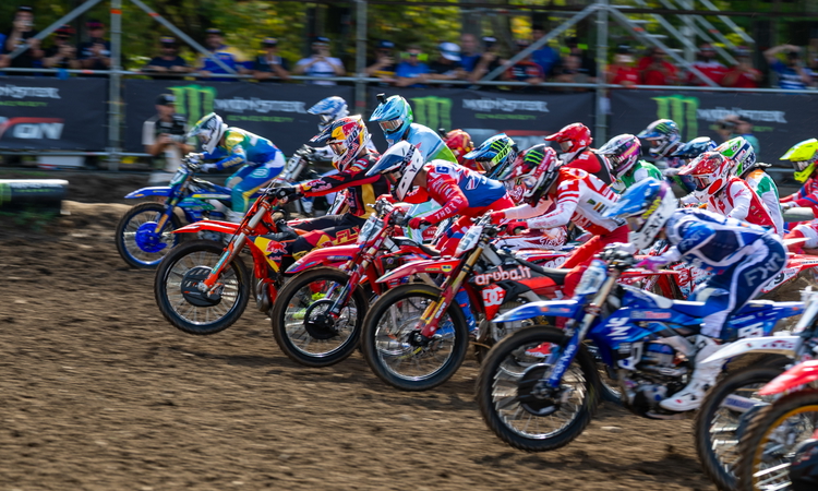 MXdN qualifications : Les résumés