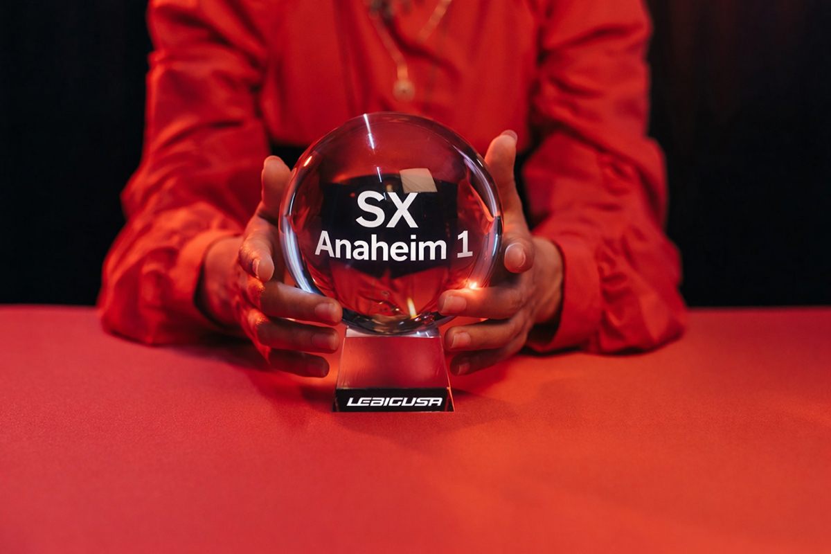 La boule de cristal du SX d'Anaheim 1