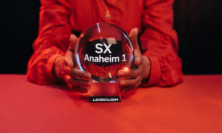 La boule de cristal du SX d'Anaheim 1